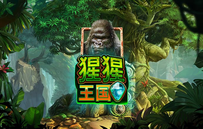 bet9九卅